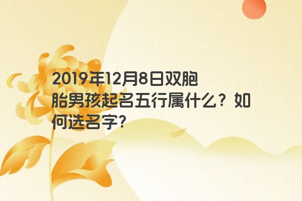 2019年12月8日双胞胎男孩起名五行属什么？如何选名字？