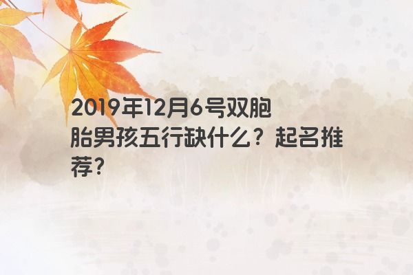 2019年12月6号双胞胎男孩五行缺什么？起名推荐？