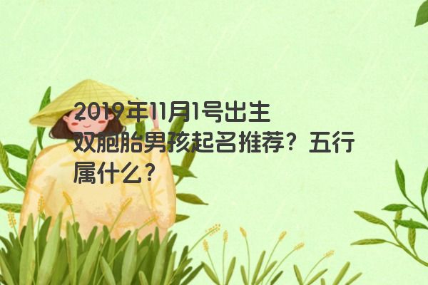 2019年11月1号出生双胞胎男孩起名推荐？五行属什么？