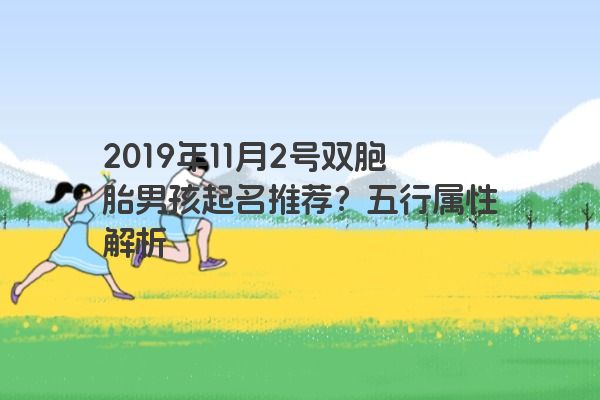 2019年11月2号双胞胎男孩起名推荐？五行属性解析