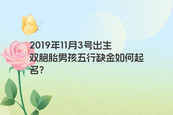 2019年11月3号出生双胞胎男孩五行缺金如何起名？