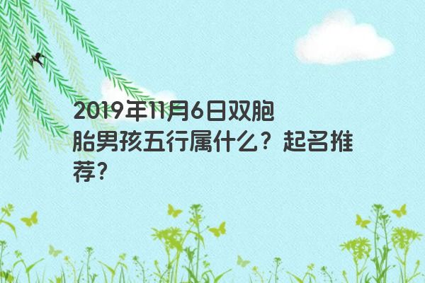 2019年11月6日双胞胎男孩五行属什么？起名推荐？