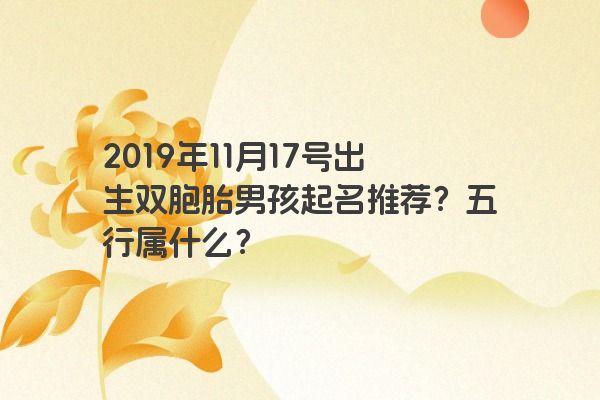 2019年11月17号出生双胞胎男孩起名推荐？五行属什么？