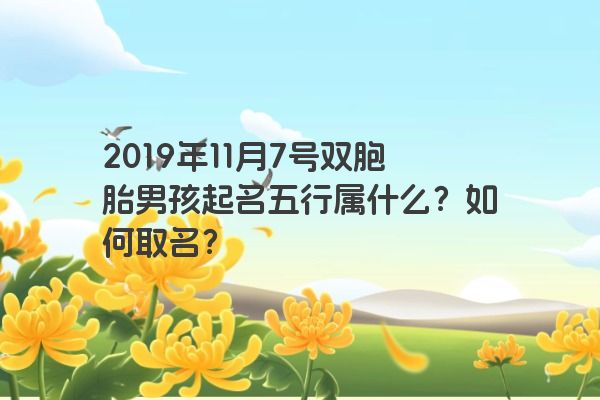 2019年11月7号双胞胎男孩起名五行属什么？如何取名？