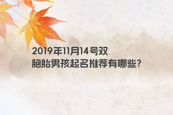 2019年11月14号双胞胎男孩起名推荐有哪些？