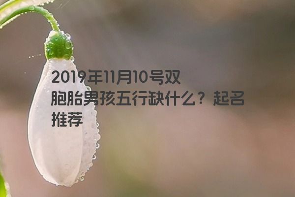 2019年11月10号双胞胎男孩五行缺什么？起名推荐