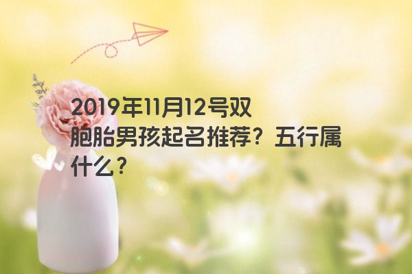 2019年11月12号双胞胎男孩起名推荐？五行属什么？