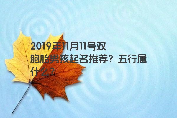 2019年11月11号双胞胎男孩起名推荐？五行属什么？