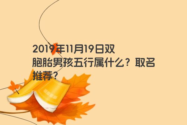 2019年11月19日双胞胎男孩五行属什么？取名推荐？