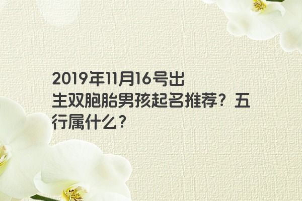 2019年11月16号出生双胞胎男孩起名推荐？五行属什么？