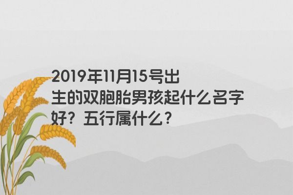 2019年11月15号出生的双胞胎男孩起什么名字好？五行属什么？