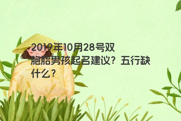 2019年10月28号双胞胎男孩起名建议？五行缺什么？