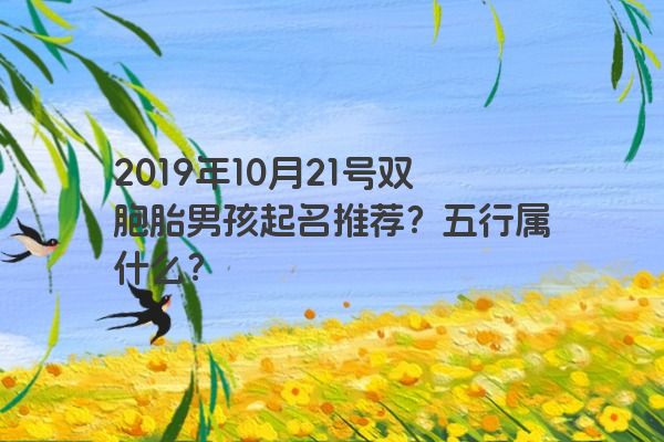 2019年10月21号双胞胎男孩起名推荐？五行属什么？