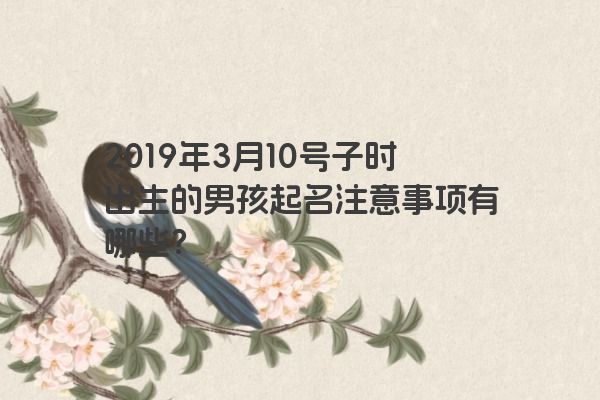 2019年3月10号子时出生的男孩起名注意事项有哪些？