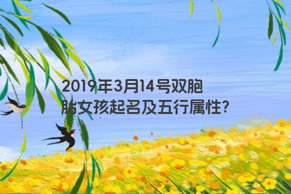 2019年3月14号双胞胎女孩起名及五行属性？