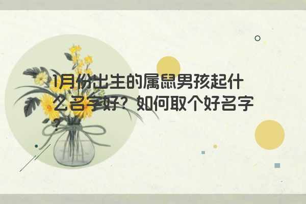 1月份出生的属鼠男孩起什么名字好？如何取个好名字？