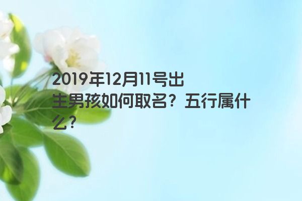 2019年12月11号出生男孩如何取名？五行属什么？