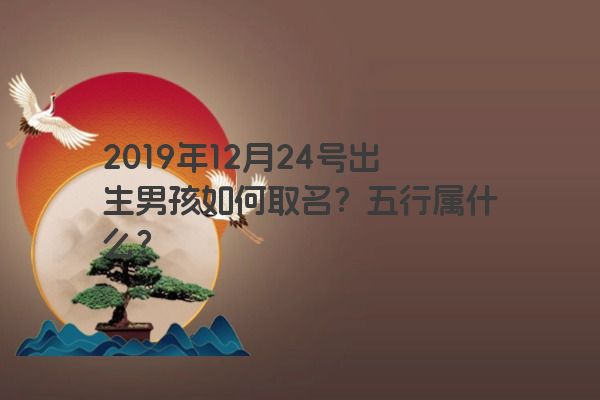 2019年12月24号出生男孩如何取名？五行属什么？