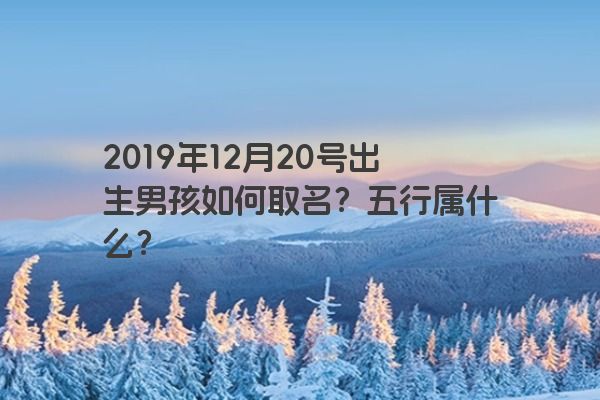 2019年12月20号出生男孩如何取名？五行属什么？