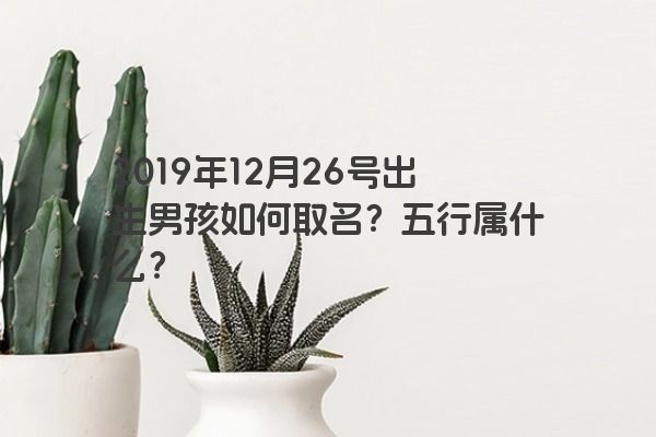 2019年12月26号出生男孩如何取名？五行属什么？
