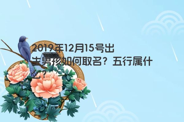 2019年12月15号出生男孩如何取名？五行属什么？