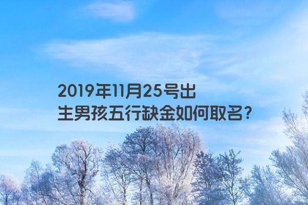 2019年11月25号出生男孩五行缺金如何取名？