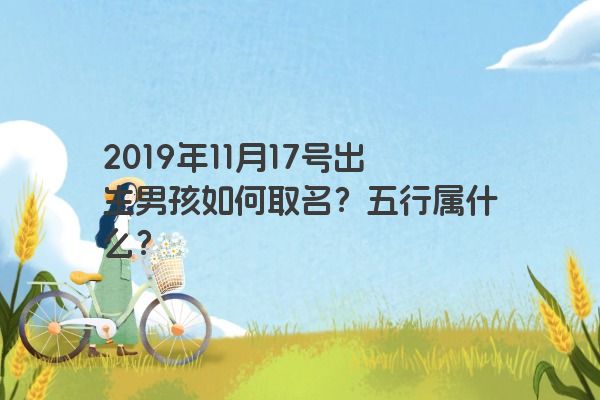 2019年11月17号出生男孩如何取名？五行属什么？