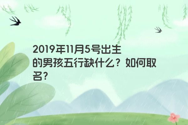 2019年11月5号出生的男孩五行缺什么？如何取名？