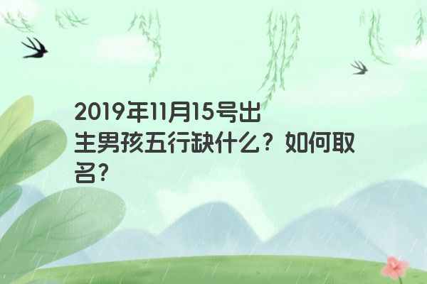 2019年11月15号出生男孩五行缺什么？如何取名？