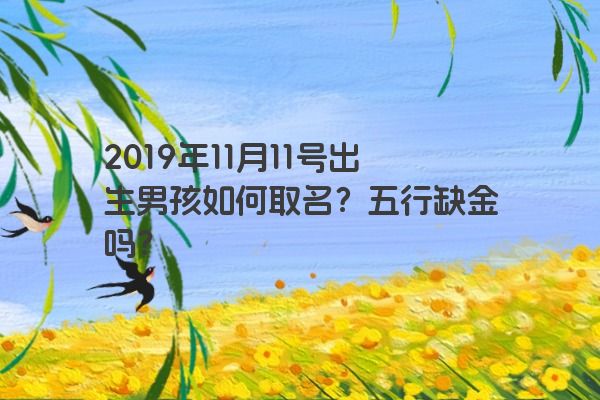 2019年11月11号出生男孩如何取名？五行缺金吗？