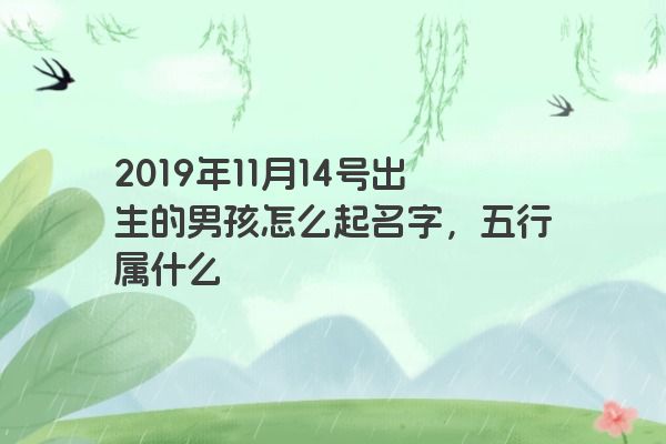 2019年11月14号出生的男孩怎么起名字，五行属什么