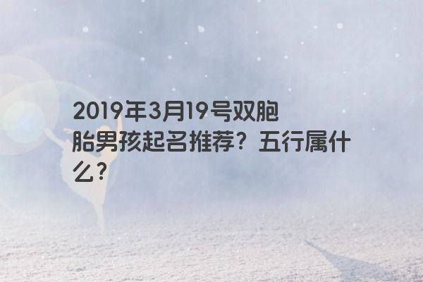 2019年3月19号双胞胎男孩起名推荐？五行属什么？
