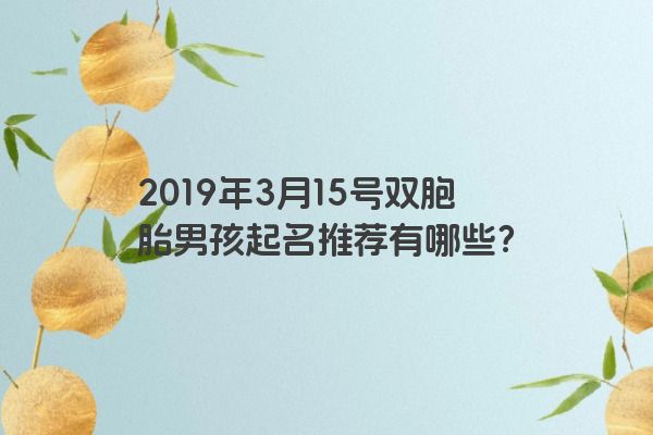 2019年3月15号双胞胎男孩起名推荐有哪些？