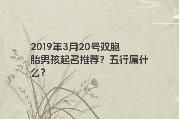 2019年3月20号双胞胎男孩起名推荐？五行属什么？