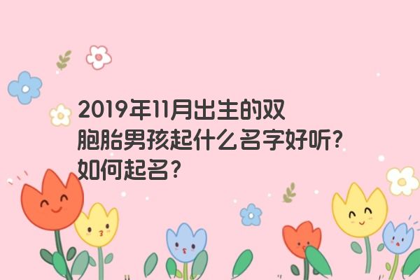 2019年11月出生的双胞胎男孩起什么名字好听？如何起名？