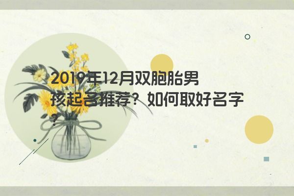 2019年12月双胞胎男孩起名推荐？如何取好名字？