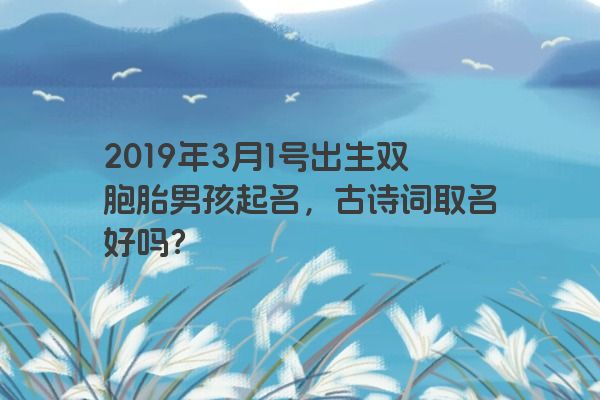 2019年3月1号出生双胞胎男孩起名，古诗词取名好吗？