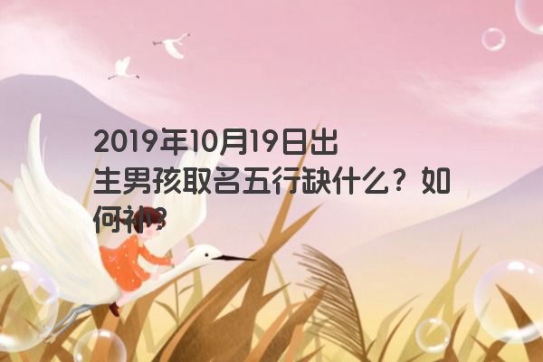 2019年10月19日出生男孩取名五行缺什么？如何补？