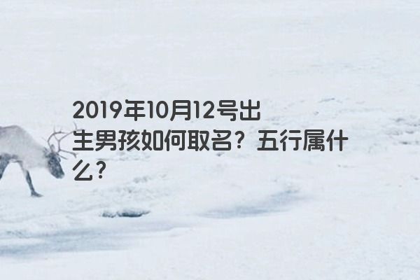 2019年10月12号出生男孩如何取名？五行属什么？