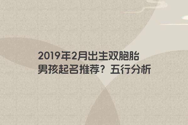 2019年2月出生双胞胎男孩起名推荐？五行分析