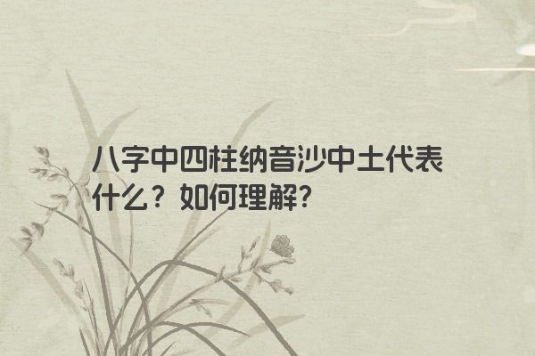 八字中四柱纳音沙中土代表什么？如何理解？