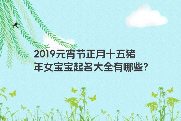 2019元宵节正月十五猪年女宝宝起名大全有哪些？