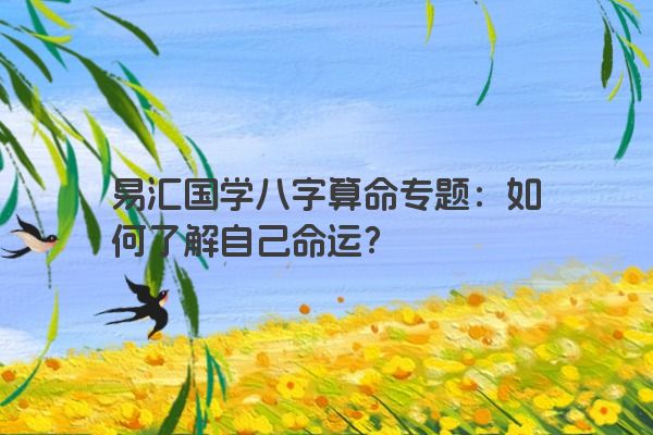 易汇国学八字算命专题：如何了解自己命运？