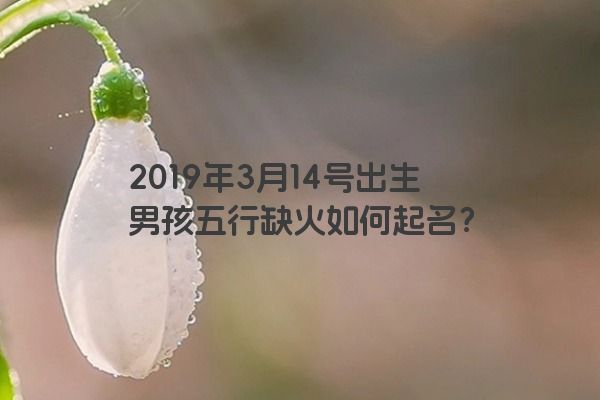 2019年3月14号出生男孩五行缺火如何起名？