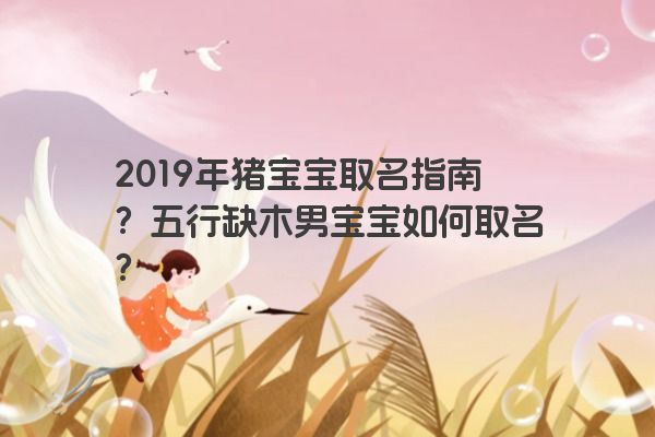 2019年猪宝宝取名指南？五行缺木男宝宝如何取名？