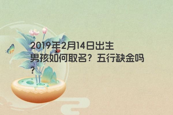 2019年2月14日出生男孩如何取名？五行缺金吗？