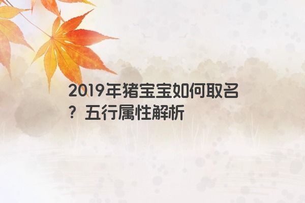 2019年猪宝宝如何取名？五行属性解析