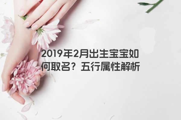 2019年2月出生宝宝如何取名？五行属性解析