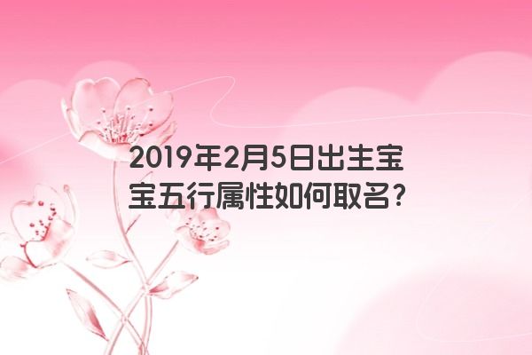 2019年2月5日出生宝宝五行属性如何取名？