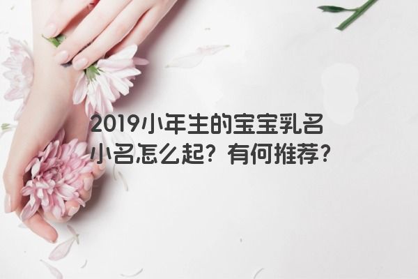 2019小年生的宝宝乳名小名怎么起？有何推荐？